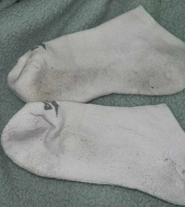 Any used socks